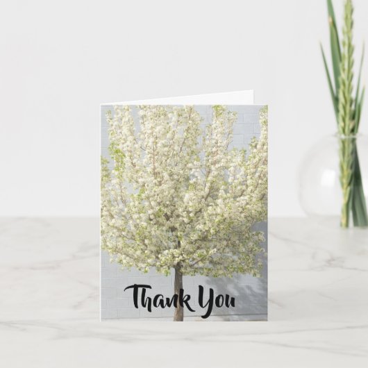 Witte lente bloesems gevulde boom bedankkaart (Voorkant)