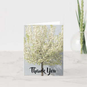 Witte lente bloesems gevulde boom bedankkaart
