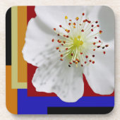 Witte Lente Blossom Fine Art Kleurrijke Geometrisc Bier Onderzetter (Voorkant)