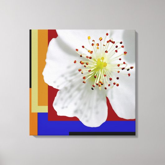 Witte Lente Blossom Fine Art Kleurrijke Geometrisc Canvas Afdruk (Voorkant)