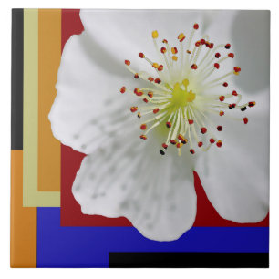 Witte Lente Blossom Fine Art Kleurrijke Geometrisc Tegeltje