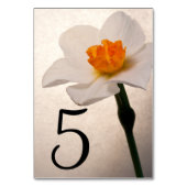 Witte Lente Daffodil Bloem Tafel Nummers Kaart (Achterkant)