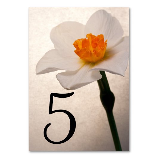 Witte Lente Daffodil Bloem Tafel Nummers Kaart (Achterkant)