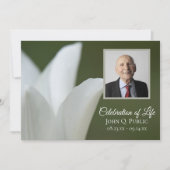 Witte Lente Tulp op Groene Viering van het Leven Kaart (Voorkant)