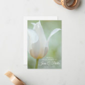 Witte Lente Tulpenbloem Deel een Geheugenbegrafeni Notitiekaartje (Voorkant / Achterkant in situ)