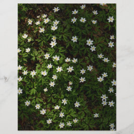 Witte lentebloemen in bos Scrapbook Papier