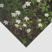 Witte lentebloemen in bosgrond tissuepapier (Detail)
