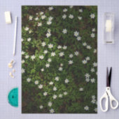 Witte lentebloemen in bosgrond tissuepapier (Craft)