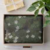 Witte lentebloemen in bosgrond tissuepapier (Geschenk)