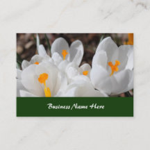 witte lentebloemen