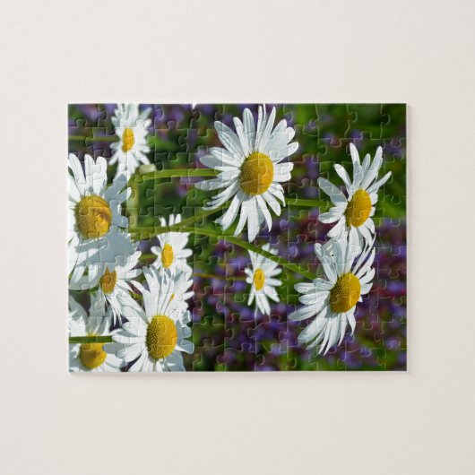 Witte lentedruiers in bloei legpuzzel (Horizontaal)