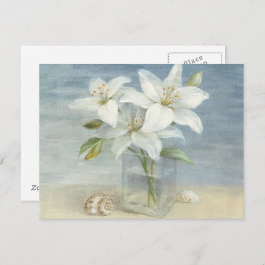 Witte lenzen en schelpen briefkaart (Voorkant / Achterkant)