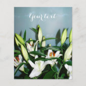 Witte leugens flyer (Voorkant)