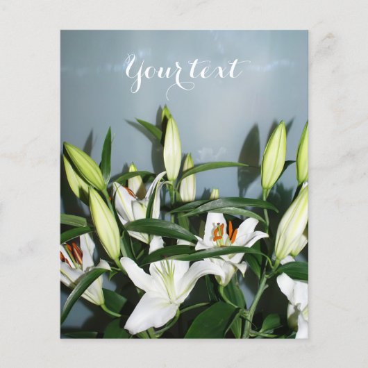 Witte leugens flyer (Voorkant)