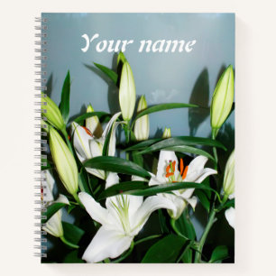 Witte leugens notitieboek