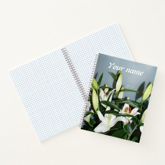 Witte leugens notitieboek (Binnen)