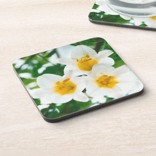 Witte leugens - symbool van de liefde bier onderzetter (Linkerzijde)