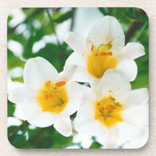 Witte leugens - symbool van de liefde bier onderzetter (Voorkant)