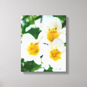 Witte leugens - symbool van de liefde canvas afdruk (Voorkant)