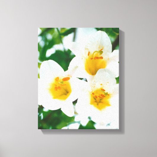 Witte leugens - symbool van de liefde canvas afdruk (Voorkant)