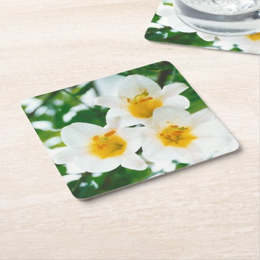 Witte leugens - symbool van de liefde kartonnen onderzetters (Schuin)