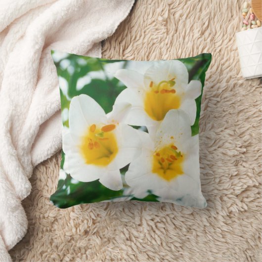 Witte leugens - symbool van de liefde kussen (Deken)