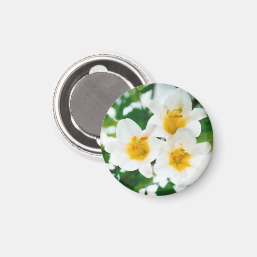 Witte leugens - symbool van de liefde magneet (Voorkant / Achterkant)