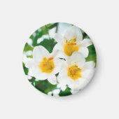 Witte leugens - symbool van de liefde magneet (Voorkant)