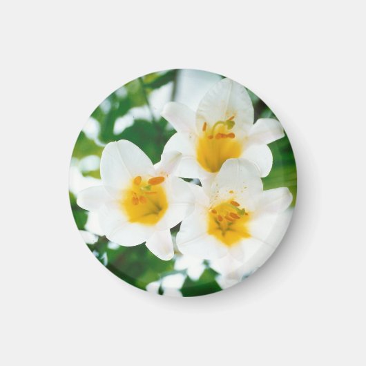 Witte leugens - symbool van de liefde magneet (Voorkant)