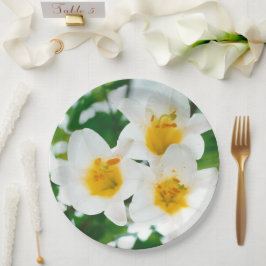 Witte leugens - symbool van de liefde papieren bordje