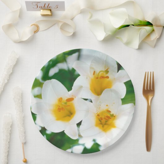 Witte leugens - symbool van de liefde papieren bordje (Huwelijk)