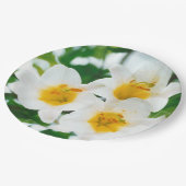 Witte leugens - symbool van de liefde papieren bordje (Gekanteld)