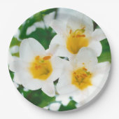 Witte leugens - symbool van de liefde papieren bordje (Voorkant)