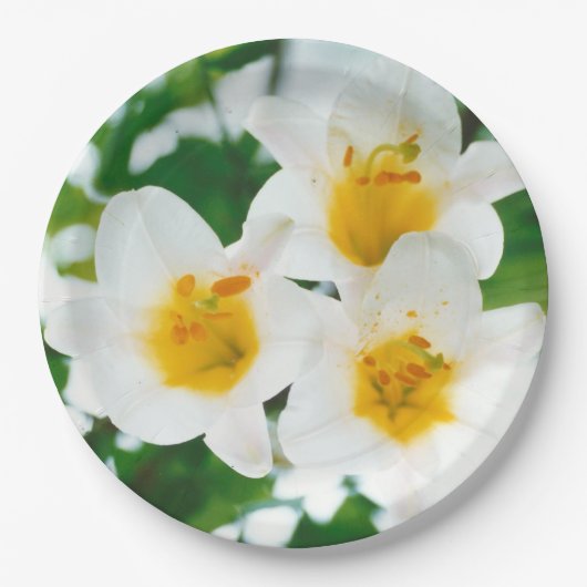 Witte leugens - symbool van de liefde papieren bordje (Voorkant)