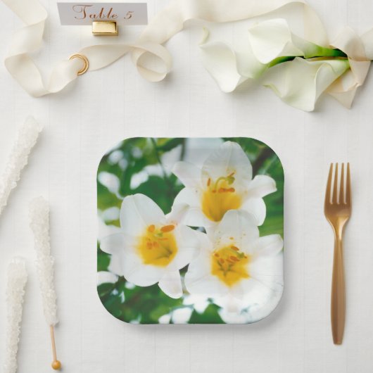 Witte leugens - symbool van de liefde papieren bordje (Huwelijk)