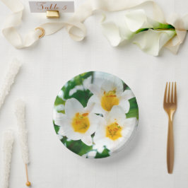 Witte leugens - symbool van de liefde papieren kommen