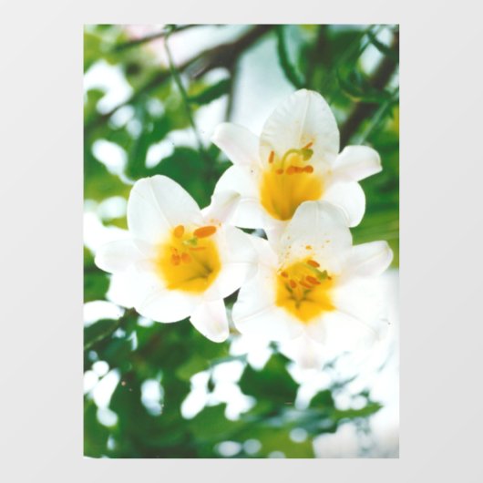 Witte leugens - symbool van de liefde raamsticker (Vel)