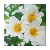 Witte leugens - symbool van de liefde tegeltje (Voorkant)