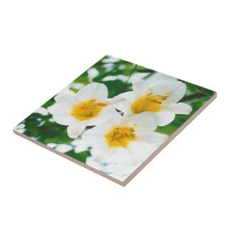 Witte leugens - symbool van de liefde tegeltje