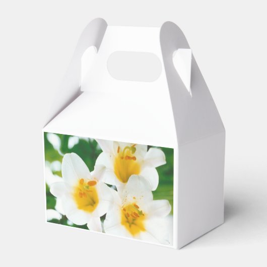 Witte lib - Lilium candidum Bedankdoosjes (Achterkant)