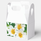 Witte lib - Lilium candidum Bedankdoosjes (Geopend)