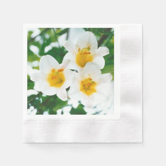 Witte lib - Lilium candidum Servet (Voorkant)