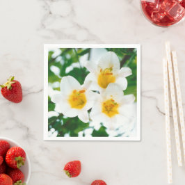 Witte lib - Lilium candidum Servet