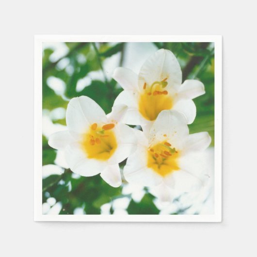 Witte lib - Lilium candidum Servet (Voorkant)