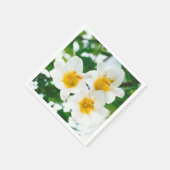 Witte lib - Lilium candidum Servet (Hoek)