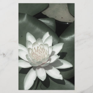 witte lichtroze lotus waterbloem briefpapier