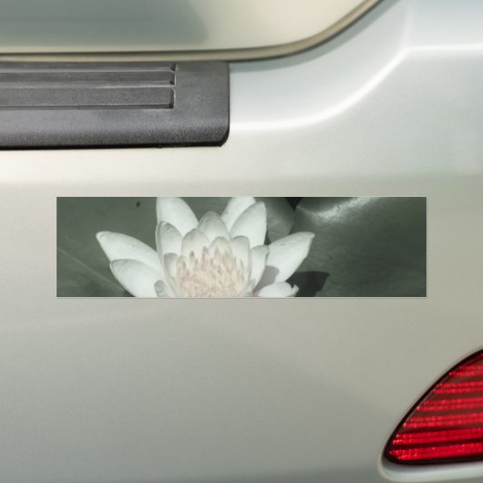 witte lichtroze lotus waterbloem bumpersticker (Op auto)