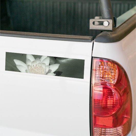 witte lichtroze lotus waterbloem bumpersticker (Op Truck)