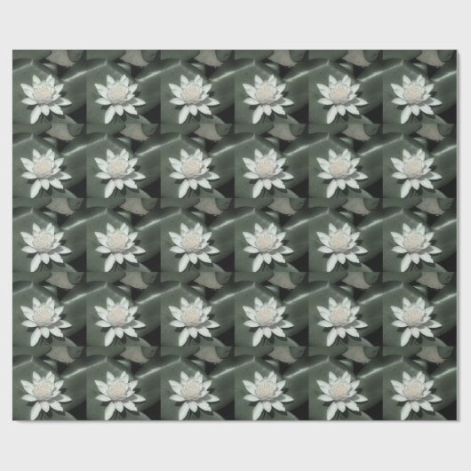 witte lichtroze lotus waterbloem cadeaupapier (Vlak)