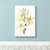 Witte likeur (Lilium candidum) van Redouté Canvas Afdruk (Insitu (Houten vloer))